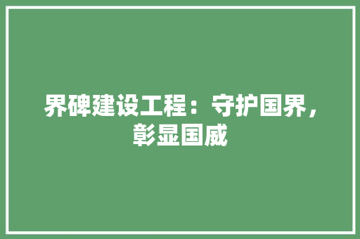 界碑建设工程：守护国界，彰显国威 室内设计