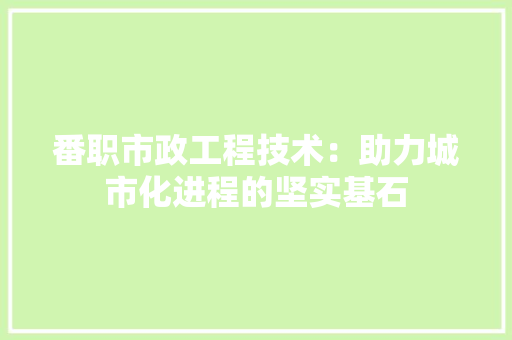 番职市政工程技术：助力城市化进程的坚实基石