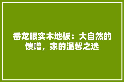 番龙眼实木地板：大自然的馈赠，家的温馨之选 室内设计