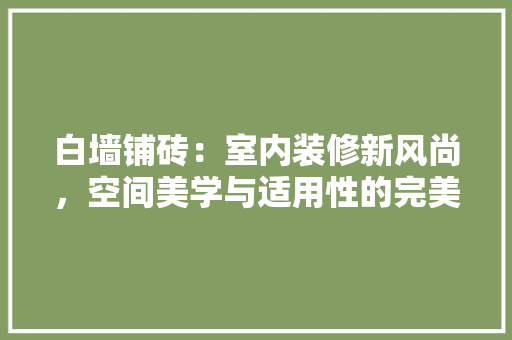 白墙铺砖：室内装修新风尚，空间美学与适用性的完美融合 室内设计