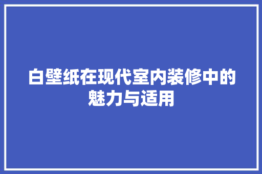 白壁纸在现代室内装修中的魅力与适用 室内设计
