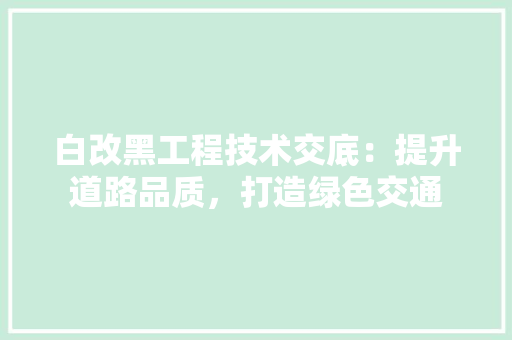 白改黑工程技术交底：提升道路品质，打造绿色交通 室内设计