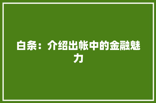 白条：介绍出帐中的金融魅力 室内设计