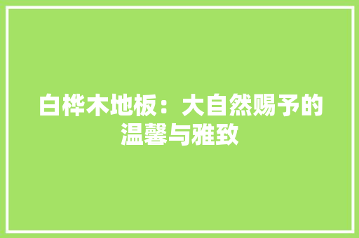 白桦木地板：大自然赐予的温馨与雅致 室内设计