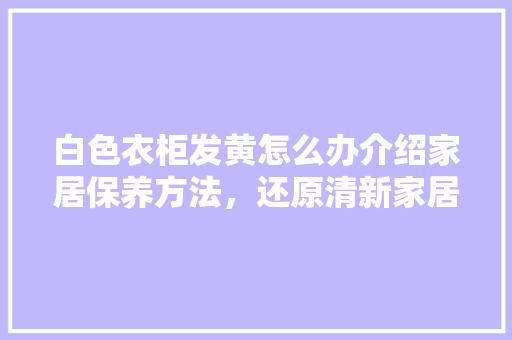 白色衣柜发黄怎么办介绍家居保养方法，还原清新家居之美 室内设计