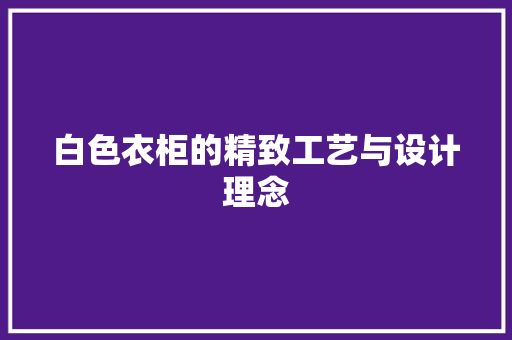 白色衣柜的精致工艺与设计理念 室内设计