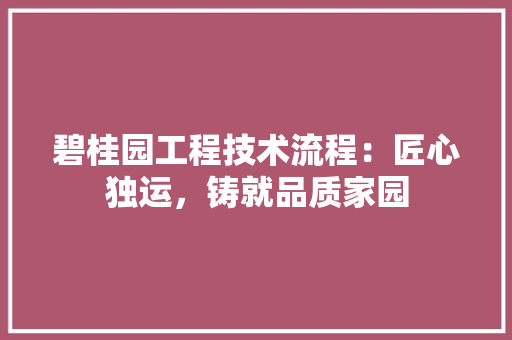 碧桂园工程技术流程：匠心独运，铸就品质家园 室内设计