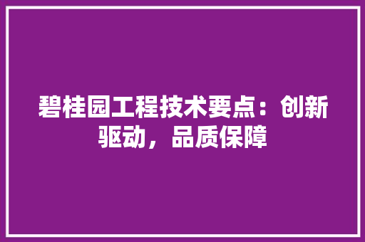 碧桂园工程技术要点：创新驱动，品质保障 室内设计