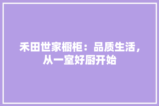 禾田世家橱柜：品质生活，从一室好厨开始