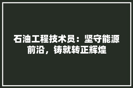 石油工程技术员：坚守能源前沿，铸就转正辉煌 室内设计