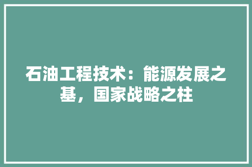 石油工程技术：能源发展之基，国家战略之柱 室内设计