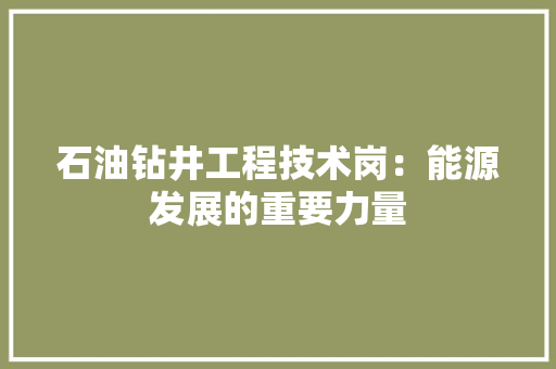 石油钻井工程技术岗：能源发展的重要力量