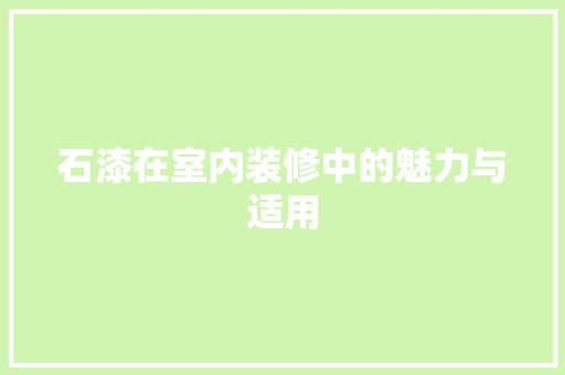 石漆在室内装修中的魅力与适用 室内设计