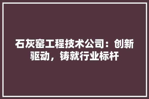 石灰窑工程技术公司：创新驱动，铸就行业标杆
