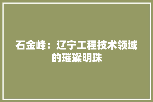 石金峰：辽宁工程技术领域的璀璨明珠 室内设计