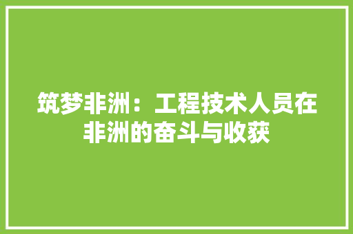 筑梦非洲：工程技术人员在非洲的奋斗与收获 室内设计