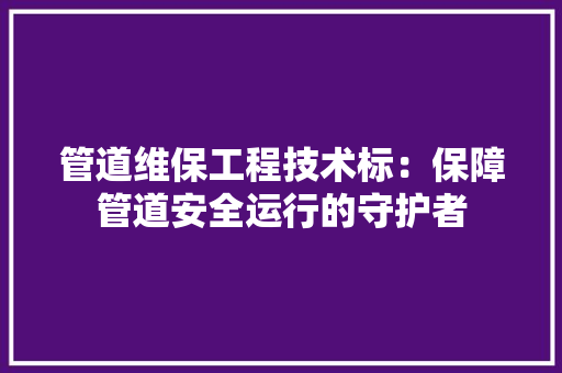 管道维保工程技术标：保障管道安全运行的守护者