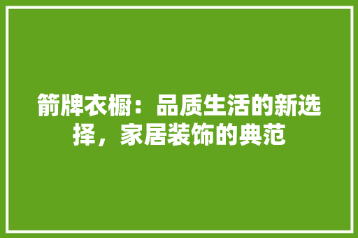 箭牌衣橱：品质生活的新选择，家居装饰的典范
