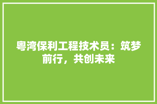 粤湾保利工程技术员：筑梦前行，共创未来 室内设计