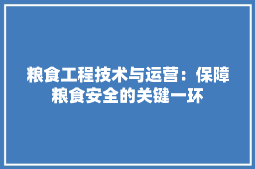 粮食工程技术与运营：保障粮食安全的关键一环 室内设计