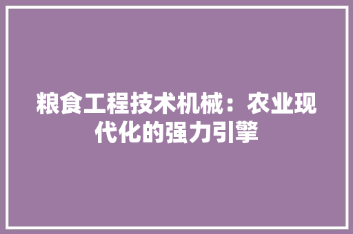 粮食工程技术机械：农业现代化的强力引擎