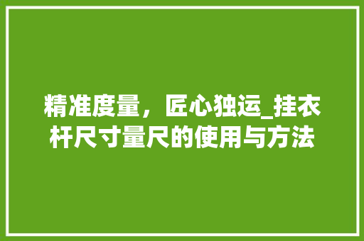 精准度量，匠心独运_挂衣杆尺寸量尺的使用与方法