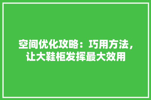 空间优化攻略：巧用方法，让大鞋柜发挥最大效用