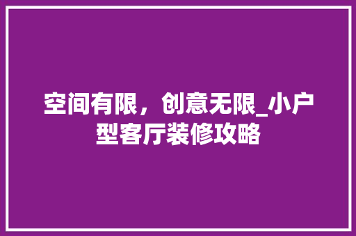空间有限，创意无限_小户型客厅装修攻略