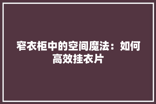 窄衣柜中的空间魔法：如何高效挂衣片 室内设计