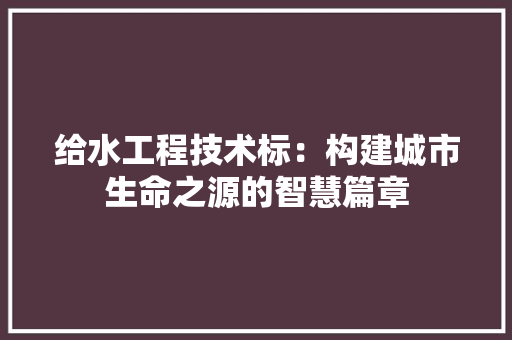给水工程技术标：构建城市生命之源的智慧篇章 室内设计