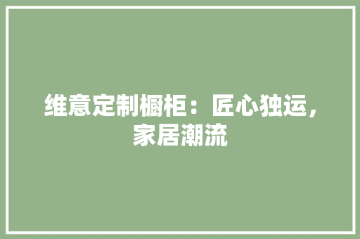 维意定制橱柜：匠心独运，家居潮流 室内设计
