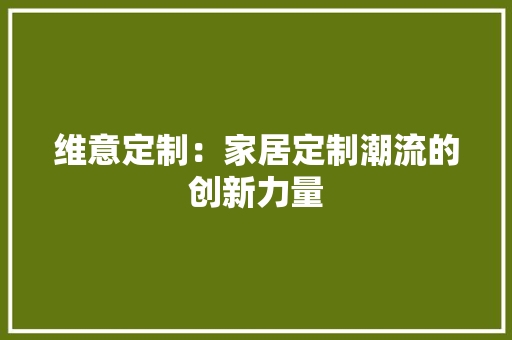 维意定制：家居定制潮流的创新力量 室内设计