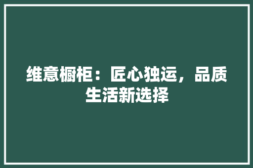 维意橱柜：匠心独运，品质生活新选择 室内设计