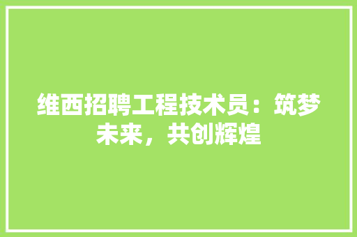 维西招聘工程技术员：筑梦未来，共创辉煌 室内设计