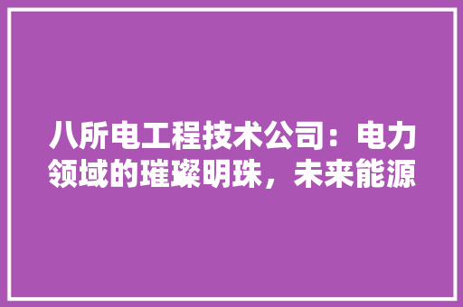 八所电工程技术公司：电力领域的璀璨明珠，未来能源发展