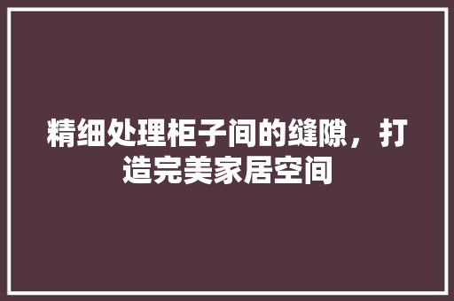 精细处理柜子间的缝隙，打造完美家居空间 室内设计
