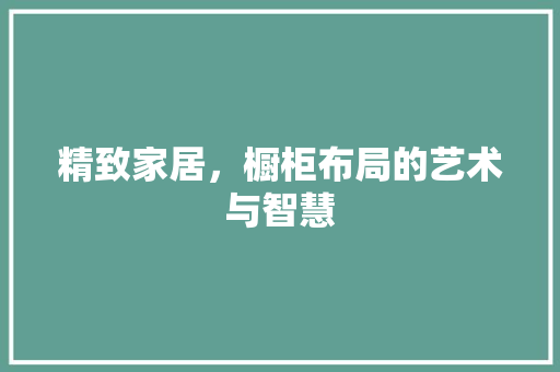 精致家居，橱柜布局的艺术与智慧 室内设计