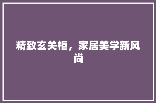 精致玄关柜，家居美学新风尚 室内设计