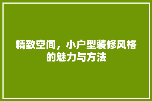 精致空间，小户型装修风格的魅力与方法 室内设计