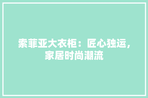 索菲亚大衣柜：匠心独运，家居时尚潮流 室内设计