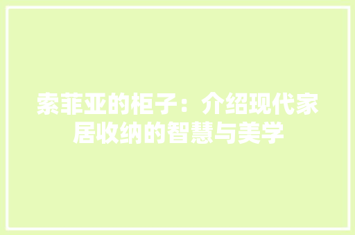 索菲亚的柜子：介绍现代家居收纳的智慧与美学 室内设计