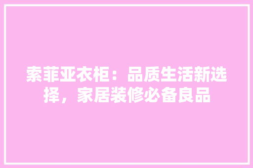 索菲亚衣柜：品质生活新选择，家居装修必备良品 室内设计