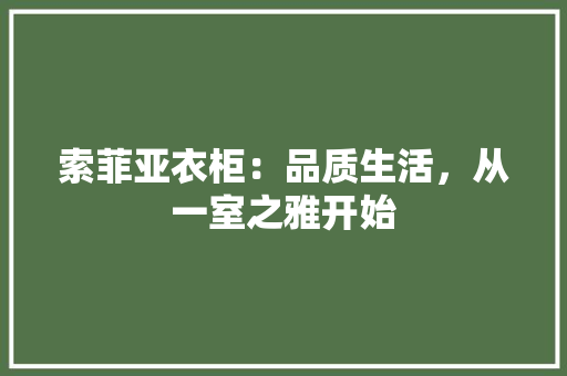 索菲亚衣柜：品质生活，从一室之雅开始 室内设计