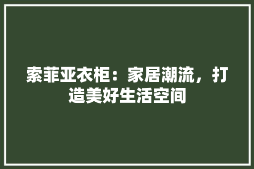 索菲亚衣柜：家居潮流，打造美好生活空间