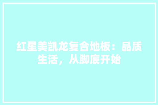 红星美凯龙复合地板：品质生活，从脚底开始 室内设计