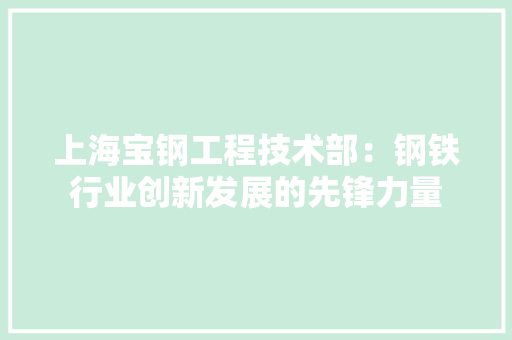 上海宝钢工程技术部：钢铁行业创新发展的先锋力量 地板材料