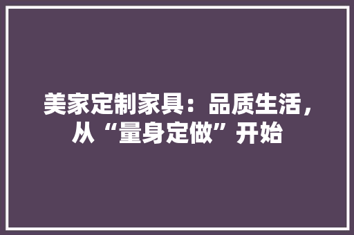 美家定制家具：品质生活，从“量身定做”开始 室内设计