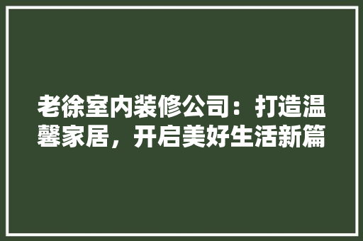 老徐室内装修公司：打造温馨家居，开启美好生活新篇章 室内设计