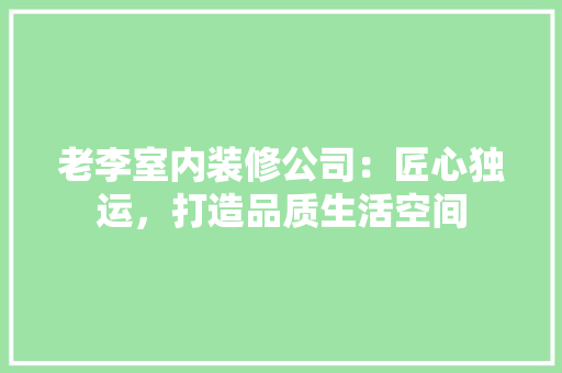老李室内装修公司：匠心独运，打造品质生活空间 室内设计