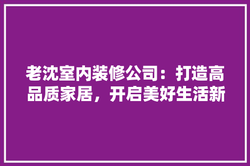老沈室内装修公司：打造高品质家居，开启美好生活新篇章 室内设计